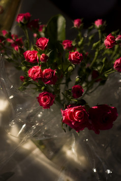 太阳光照亮的明亮的红色的味蕾群玫瑰坐着婚礼接待表格