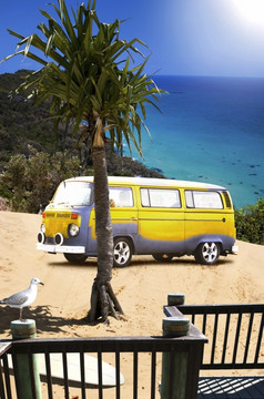 海滩假期景观与棕榈树冲浪板和黄色的combie的公共汽车停和平和平静桑迪岛绿洲与海洋日落背景