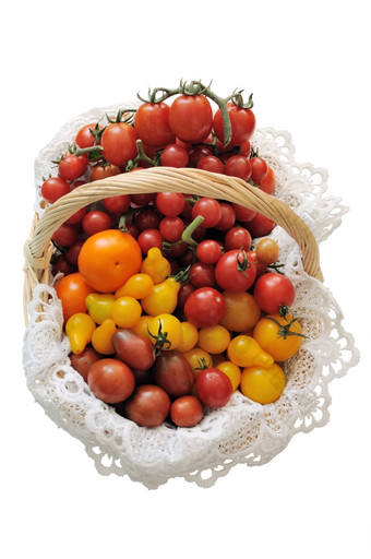 不同的品种西红柿篮子白色背景