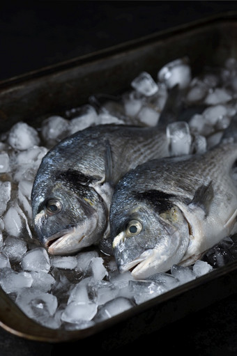 生金与冰锡托盘简约布局为鱼餐厅商店鱼市场仍然生活黑暗颜色