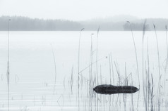 平静和平时刻的湖有雾的而且多云的早....