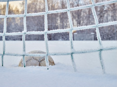 雪足球场12月霜而且冷天气