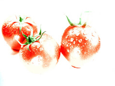 新鲜的红色的西红柿白色背景新鲜的红色的西红柿