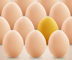 独特的金蛋之间的集鸡蛋