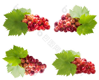 健康的而且有机食物集新鲜的红色的葡萄