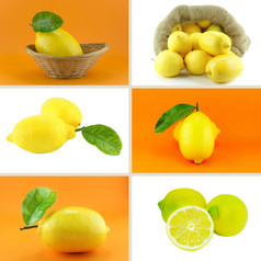 健康的而且有机食物集新鲜的柠檬