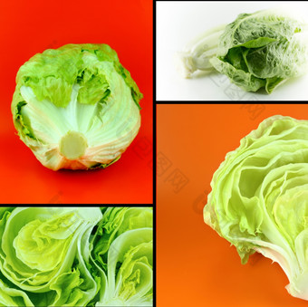 健康的而且有机食物集新鲜的绿色冰山生菜