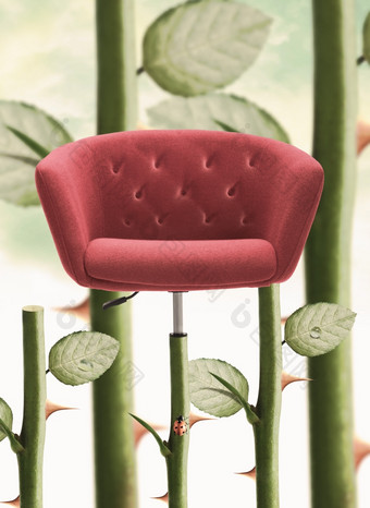 红色的椅子与玫瑰阀杆而且刺玫瑰荆棘