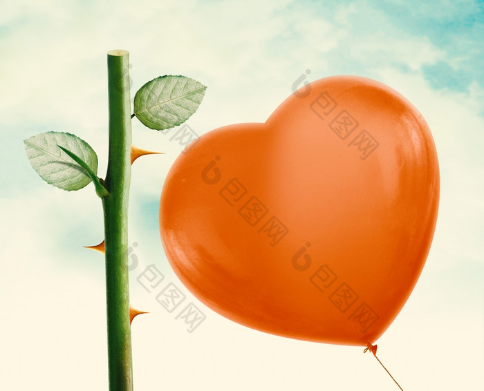 玫瑰刺关于流行爱心气球古董蓝色的天空剪裁路径而且α通道包括