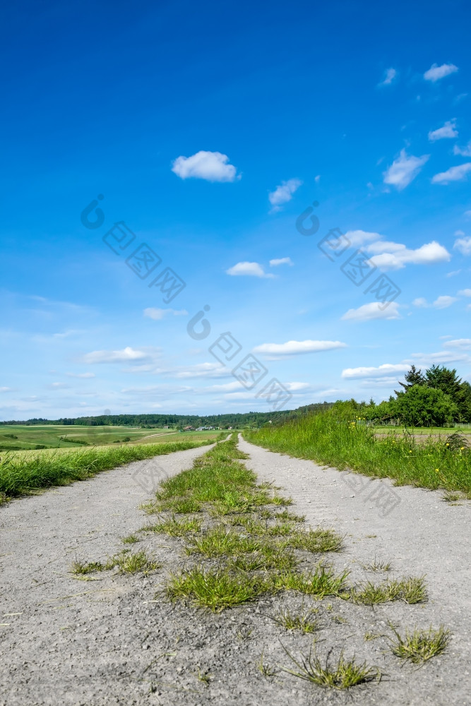 农村道路