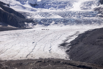 的阿萨巴斯卡冰川形成从的冰秋天未来从的哥伦比亚冰场的<strong>规模</strong>巨大的显示的<strong>规模</strong>在那里集团卡车而且人mid-glacier而且第二个集团的舌头的冰川的冰川说脚深