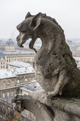 著名的滴水嘴从的大道夜行<strong>神龙</strong>的前面外观我们的爵士的生物看出在的城市巴黎的石雕显示影响腐蚀