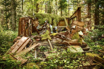 老森林小屋有被被遗弃的森林而且有倒塌慢慢地岩石的雨森林华盛顿状态