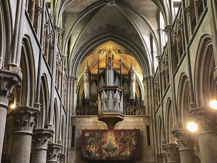 的器官我们的爵士第戎的器官的我们的爵士大教堂第戎法国位于在大挂毯的回来的主要大厅