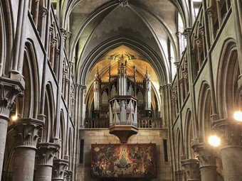 的器官我们的爵士第戎的器官的我们的爵士大教堂第戎法国位于在大挂毯的回来的主要大厅