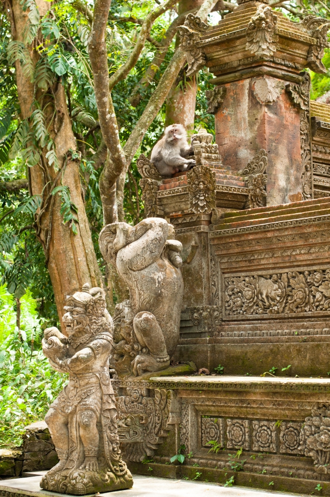 Stutue神圣的猴子森林乌布巴厘岛印尼