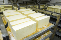 工业生产硬奶酪奶酪非常美味的而且健康的产品