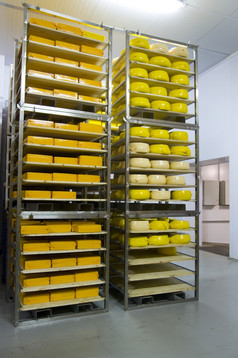 工业生产硬奶酪奶酪非常美味的而且健康的产品
