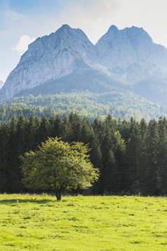 景观视图巴伐利亚阿尔卑斯山脉德国欧洲
