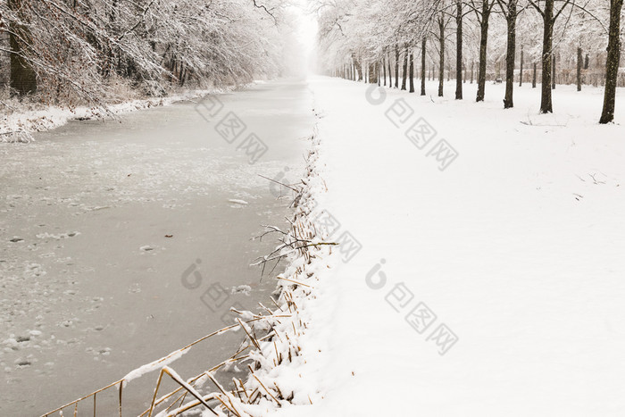 水通道通过雪森林