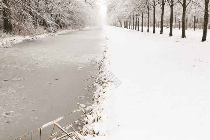 水通道通过雪森林