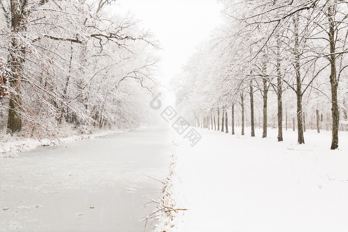 水通道通过雪森林