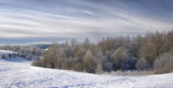 美丽的农村景观雪这<strong>照片组成</strong>从单独的<strong>照片</strong>