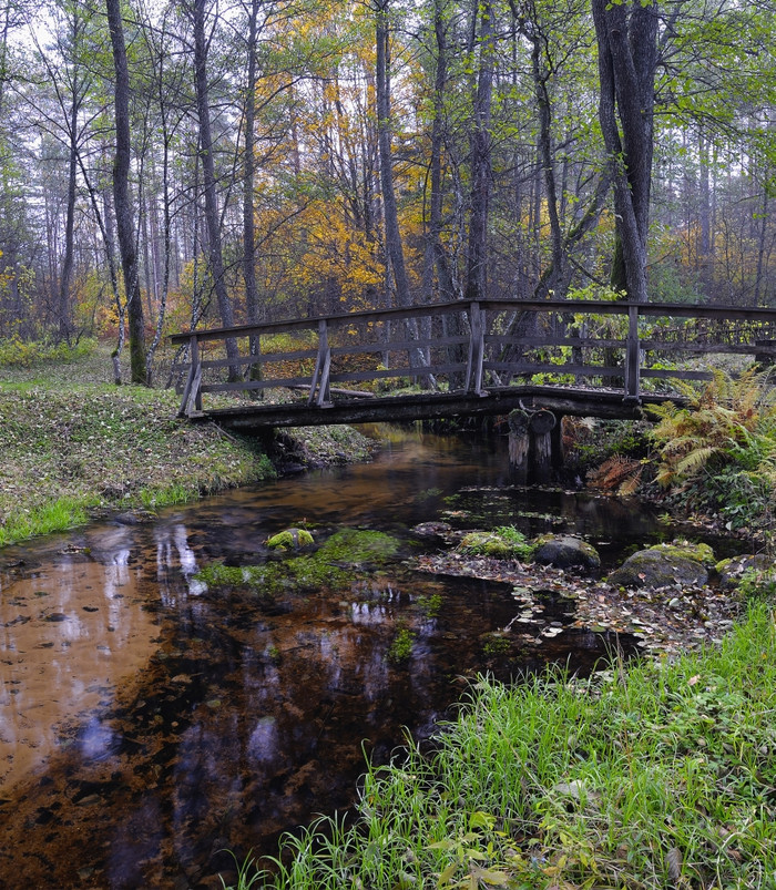 小桥在溪有雾的秋天森林图片