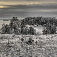 冬天低颜色多云的中午雪覆盖湖和森林农村立陶宛
