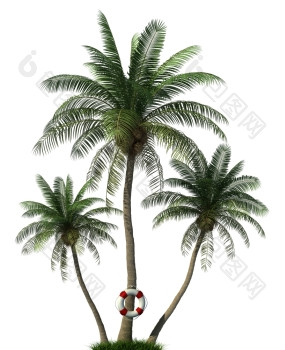 三个棕榈树而且浮标孤立的white-rendering