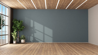 空房间与植物蓝色的墙木天花板和领导光通木天花板呈现空房间与植物和蓝色的墙