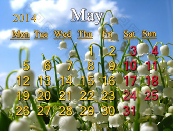 日历为五月的背景莉莉的谷
