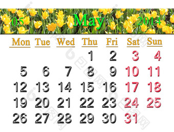 日历为五月的背景郁金香的花坛
