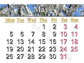 日历为五月的背景分支开花樱桃