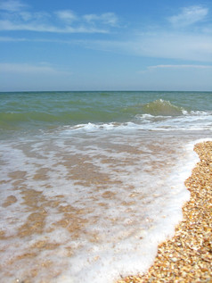 全景的海波的海岸