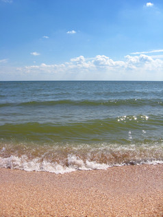 全景的海波的海岸