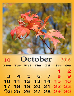 日历为10月与的红色的秋天叶子日历为10月与的丝带红色的枫木秋天叶子日历为印刷而且使用办公室生活