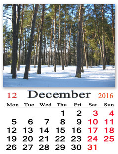 日历为12月与的松树冬天森林美丽的日历为12月与的松树冬天森林日历为印刷而且使用办公室生活