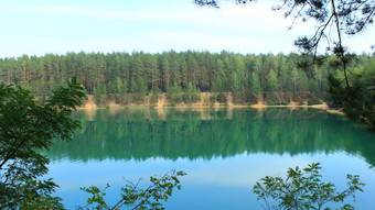 景观与风景如画的湖的松森林美丽的夏天景观与风景如画的湖的松森林