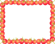 框架从西红柿框架从西红柿的白色背景