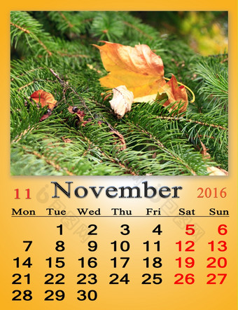 日历为11月与黄色的叶的常绿云杉日历为11月与黄色的干叶的常绿云杉