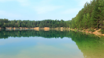 风景如画的湖的森林美丽的夏天景观与风景如画的湖的森林