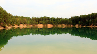 风景如画的湖的森林美丽的夏天景观与风景如画的湖的森林