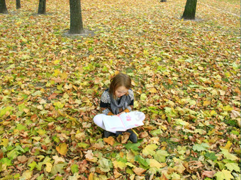 年轻的女孩读取书的秋天公园年轻的女孩读取书的秋天公园坐着的地面