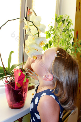 小女孩气味兰花的房间小女孩气味兰花的窗台上的房间
