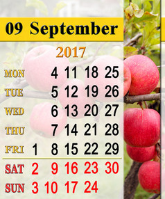 日历为9月一年与苹果美丽的日历为9月一年与成熟的苹果的分支日历为印刷和使用办公室生活