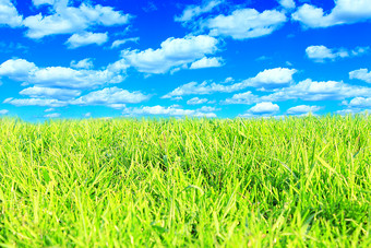 草地与绿色草和多云的天空草地与绿色草和多云的天空的夏天