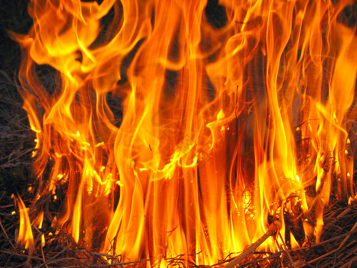 森林身体火焰加剧场火焰的福拉斯特图片