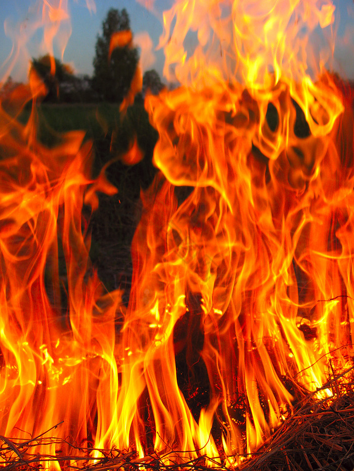 森林身体火焰加剧场火焰的福拉斯特图片