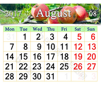 日历为8月一年与苹果的分支美丽的日历为8月一年与成熟的苹果的分支日历为印刷和使用办公室生活